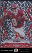 Joe Horn
