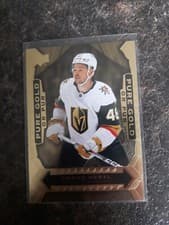 2024-25 Tim Hortons Collectors Series Pure Gold Tomas Hertl #PG-11 card