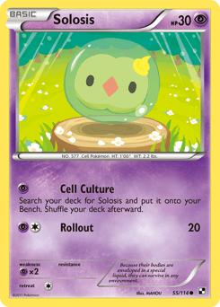 Solosis Black & White card