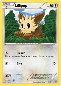 Lillipup Black & White card