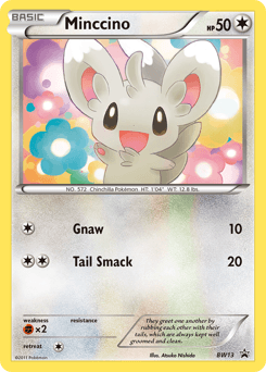 Minccino BW Black Star Promos card