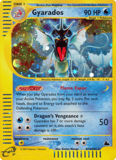 Gyarados Skyridge card