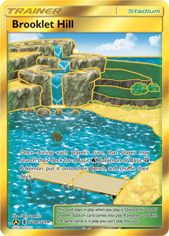 Brooklet Hill Hidden Fates Shiny Vault card