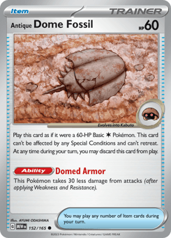 2023 151 Antique Dome Fossil #152