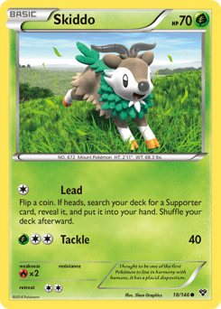 Skiddo XY card