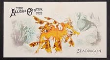 2025 Topps Allen & Ginter 50 Fish From Global Waters (Minis) Seadragon #FGW-14 card
