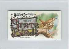 2025 Topps Allen & Ginter State Birds (Minis) Hermit Thrush - Vermont #SB-45