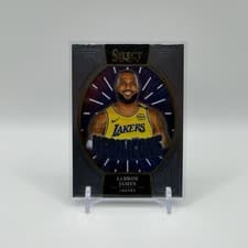 LeBron James 2024 Panini Select Neon Icon card