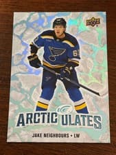 2024-25 Upper Deck Ice Arcticulates Jake Neighbours #AT-27 card