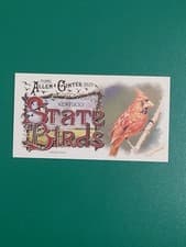 2025 Topps Allen & Ginter State Birds (Minis) Cardinal - Kentucky #SB-17 card