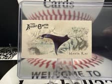 2025 Topps Allen & Ginter 50 Fish From Global Waters (Minis) Manta Ray #FGW-18