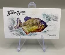 2025 Topps Allen & Ginter 50 Fish From Global Waters (Minis) Piranha #FGW-10 card