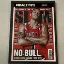 Derrick Rose 2021 Panini Hoops SLAM card