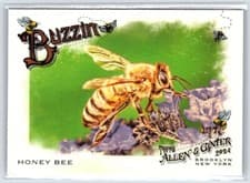 Honey Bee 2024 Topps Allen & Ginter Buzzin card