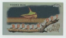Buggin' Out: Thorn Bug 2020 Topps Allen & Ginter Chrome Buggin' Out! Mini card