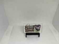 2025 Topps Allen & Ginter State Birds (Minis) Blue Hen Chicken - Delaware #SB-8 card