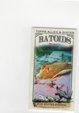 2024 Topps Allen & Ginter Mini Batoids Beneath Blue Spotted Stingray #RITW-8 card