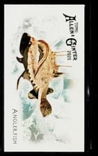 2025 Topps Allen & Ginter 50 Fish From Global Waters (Minis) Anglerfish #FGW-8 card
