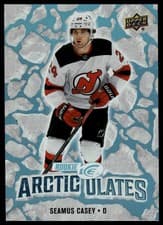 2024-25 Upper Deck Ice Arcticulates Seamus Casey #AT-65 card