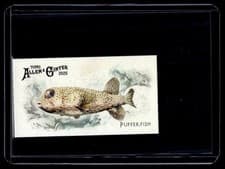 2025 Topps Allen & Ginter 50 Fish From Global Waters (Minis) Pufferfish #FGW-38 card