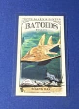 2024 Topps Allen & Ginter Mini Batoids Beneath Shark Ray #RITW-10 card