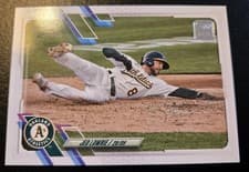 Jed Lowrie