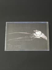 Toco Toucan 2024 Topps Allen & Ginter X-Ray’d card