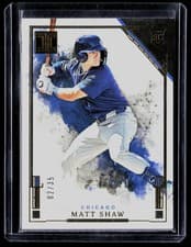 2025 Panini Impeccable Base Set Matt Shaw #55 card