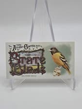 2025 Topps Allen & Ginter State Birds (Minis) Baltimore Oriole - Maryland #SB-20
