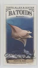 2024 Topps Allen & Ginter Mini Batoids Beneath Manta Ray #RITW-4 card