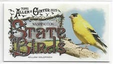 2025 Topps Allen & Ginter State Birds (Minis) Willow Goldfinch - Washington #SB-47