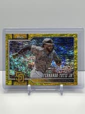Fernando Tatis Jr.