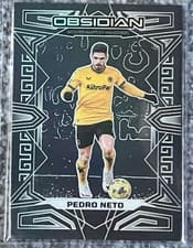 Pedro Neto