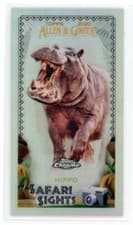 Safari Sights: Hippo 2020 Topps Allen & Ginter Chrome Safari Sights Mini card