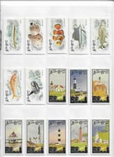 2025 Topps Allen & Ginter Light The Night (Minis) Heceta Head Lighthouse #LTN-14 card