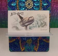 2025 Topps Allen & Ginter 50 Fish From Global Waters (Minis) Sunfish #FGW-11