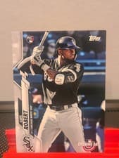 Luis Robert
