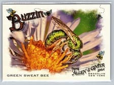 Green Sweat Bee 2024 Topps Allen & Ginter Buzzin card