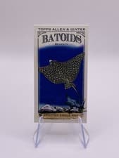 2024 Topps Allen & Ginter Mini Batoids Beneath Spotted Eagle Ray #RITW-6 card