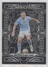 Erling Haaland