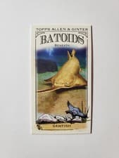 2024 Topps Allen & Ginter Mini Batoids Beneath Sawfish #RITW-2 card