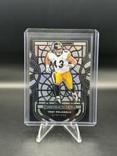 2024 Panini Obsidian Black Stained Glass Troy Polamalu #5 card