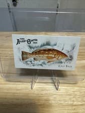 2025 Topps Allen & Ginter 50 Fish From Global Waters (Minis) Kelp Bass #FGW-29 card