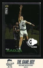Dino Radja