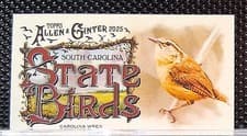 2025 Topps Allen & Ginter State Birds (Minis) Carolina Wren - South Carolina #SB-40 card