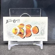 2025 Topps Allen & Ginter 50 Fish From Global Waters (Minis) Clownfish #FGW-9 card