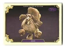 2024 Topps Allen & Ginter Stars of the Show The Westminster Kennel Club Sage #SOS-27 card