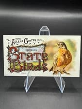 2025 Topps Allen & Ginter State Birds (Minis) Robin - Michigan #SB-22 card