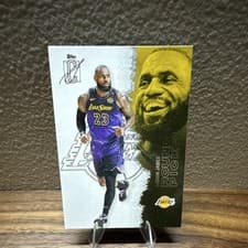 LeBron James 2024 Panini Court Kings Double Exposure card