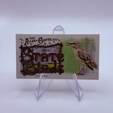 2025 Topps Allen & Ginter State Birds (Minis) Mockingbird - Texas #SB-43 card